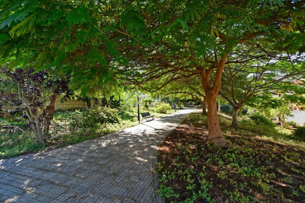 Apartamentos Lavanda Πουέρτο Ντε Λα Κρουζ Εξωτερικό φωτογραφία